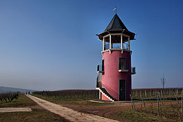 Bernhard Saalfeld - Mrz
